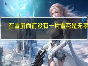 在雪崩面前没有一片雪花是无辜的（在雪崩面前没有一片雪花是无辜的）