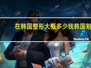 在韩国整形大概多少钱 韩国割双眼皮需要多少钱大概费用是多少钱拜托了