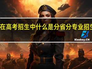在高考招生中什么是分省分专业招生录取，谢了