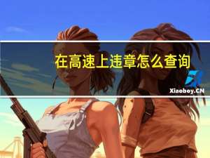 在高速上违章怎么查询