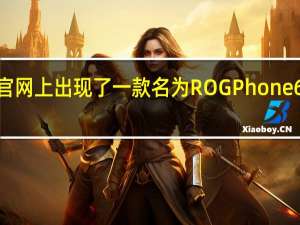 在ROG官网上出现了一款名为ROG Phone 6D的神秘设备