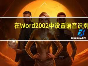 在Word 2002中设置语音识别