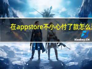在app store不小心付了款怎么退（app误付款怎么退款）
