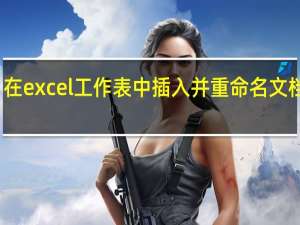 在excel工作表中插入并重命名文档对象