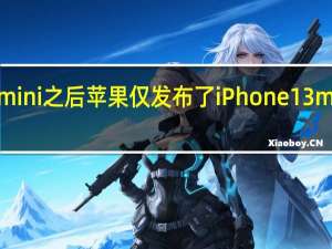 在iPhone12mini之后苹果仅发布了iPhone13mini这一款小屏手机