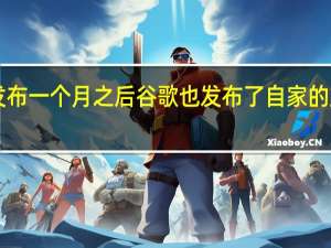 在iPhone14发布一个月之后谷歌也发布了自家的旗舰手机Pixel7系列