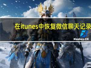 在itunes中恢复微信聊天记录