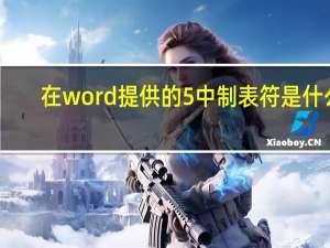 在word提供的5中制表符是什么（在word中有五种制表位）