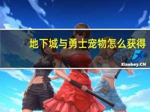 地下城与勇士宠物怎么获得