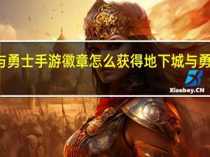 地下城与勇士手游徽章怎么获得 地下城与勇士徽章怎么用