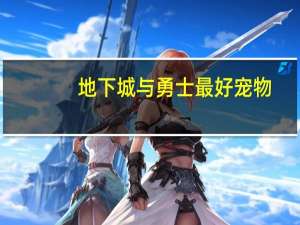 地下城与勇士最好宠物