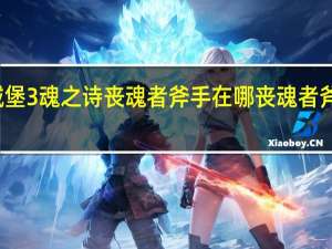 地下城堡3魂之诗丧魂者斧手在哪 丧魂者斧手位置介绍