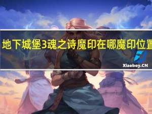 地下城堡3魂之诗魔印在哪 魔印位置一览