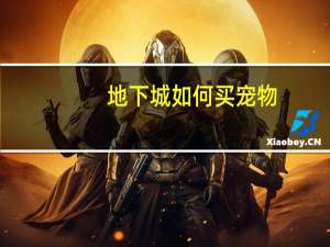 地下城如何买宠物
