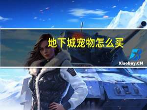 地下城宠物怎么买