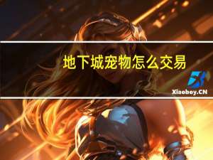 地下城宠物怎么交易