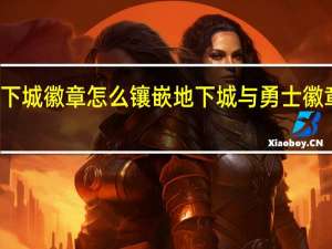 地下城徽章怎么镶嵌 地下城与勇士徽章怎么用