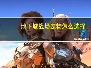 地下城战场宠物怎么选择