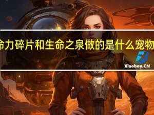 地下城用生命力碎片和生命之泉做的是什么宠物 生命力碎片怎么得