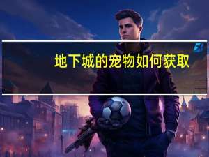 地下城的宠物如何获取