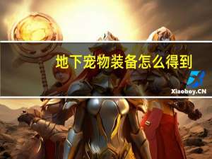 地下宠物装备怎么得到