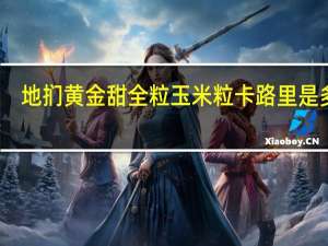 地扪 黄金甜全粒玉米粒卡路里是多少