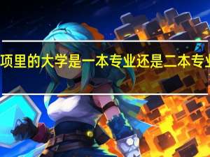 地方专项里的大学是一本专业还是二本专业和大专专业