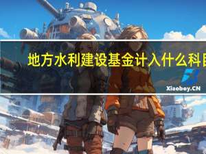 地方水利建设基金计入什么科目