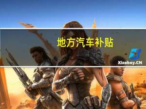 地方汽车补贴