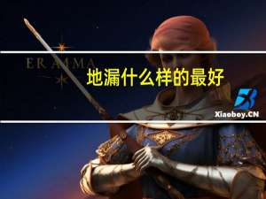 地漏什么样的最好