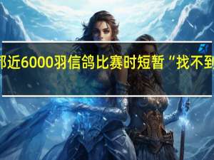 地磁暴来了成都近6000羽信鸽比赛时短暂“找不到北” 到底什么情况呢