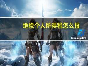 地税个人所得税怎么报