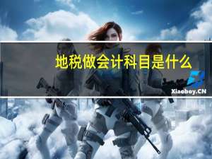 地税做会计科目是什么