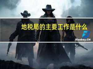 地税局的主要工作是什么