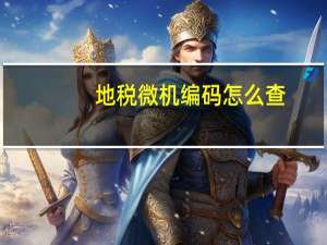 地税微机编码怎么查