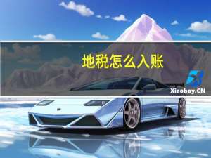 地税 怎么入账