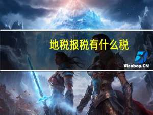 地税报税有什么税