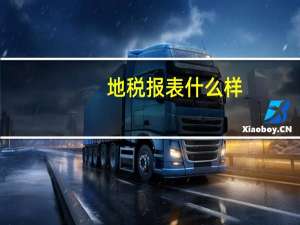 地税报表什么样
