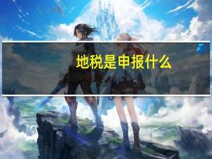 地税是申报什么