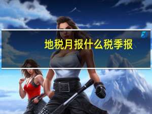 地税月报什么税季报