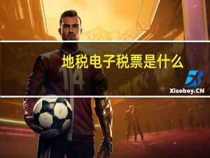 地税电子税票是什么
