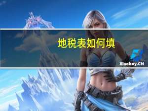 地税表如何填