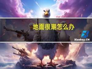 地面很潮怎么办