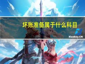 坏账准备属于什么科目