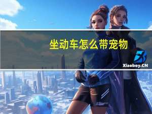 坐动车怎么带宠物