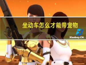 坐动车怎么才能带宠物