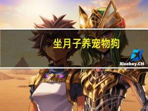 坐月子养宠物狗