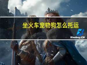 坐火车宠物狗怎么托运
