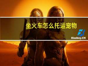 坐火车怎么托运宠物