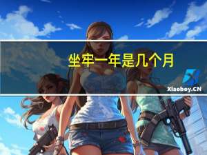 坐牢一年是几个月